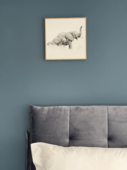 Apartament Voyage Penthouse Tirana Zewnętrze zdjęcie